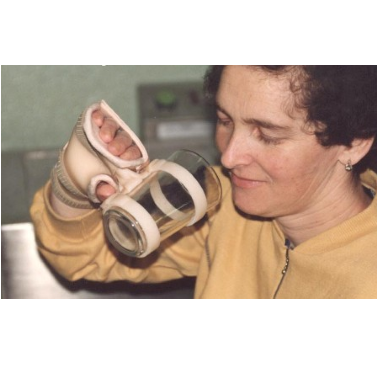  Auxiliary handle for cup